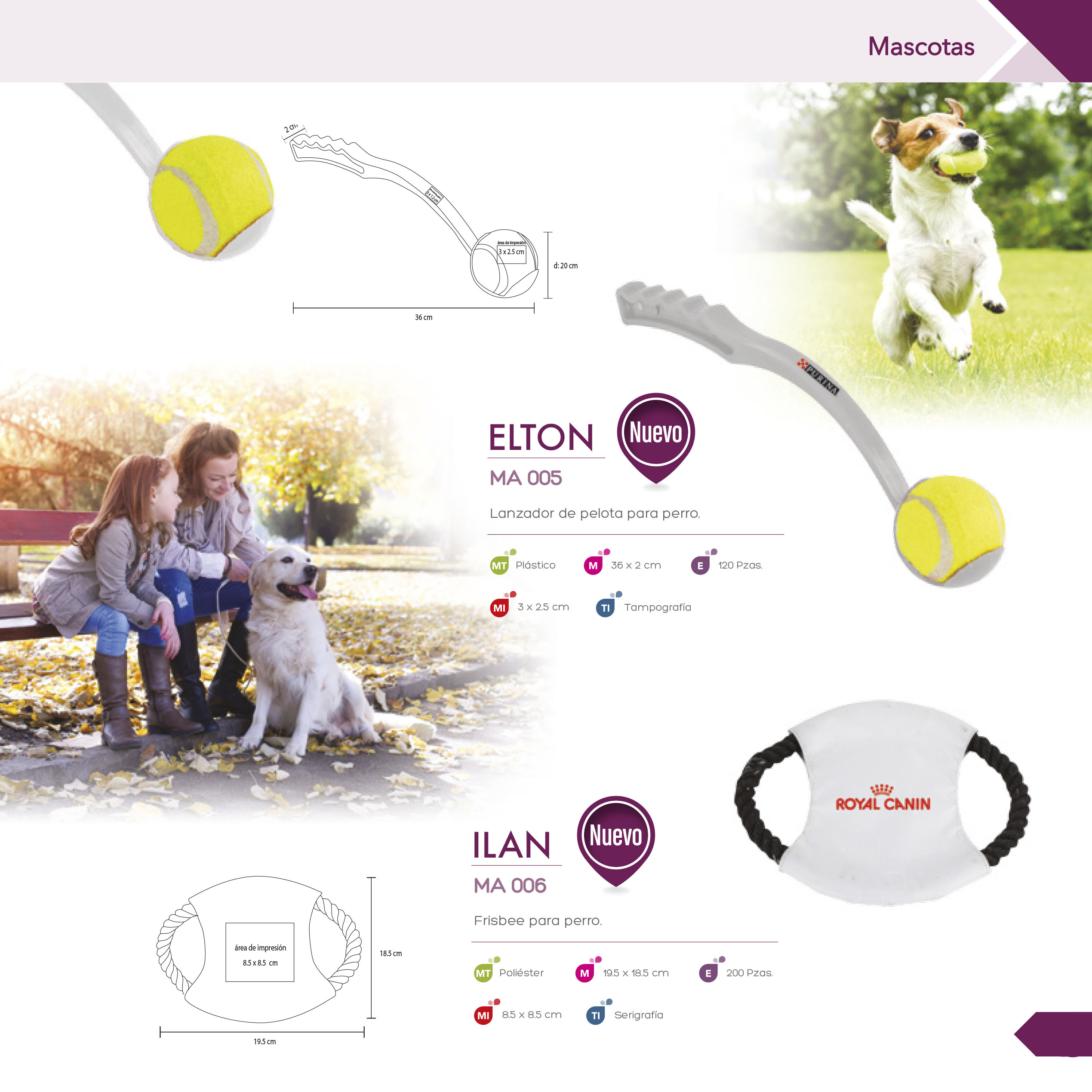 responsive slider